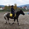 bABIE lATO 2018
